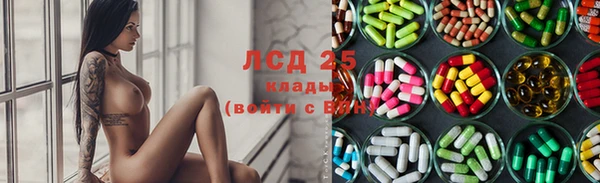 ГАЛЛЮЦИНОГЕННЫЕ ГРИБЫ Медногорск