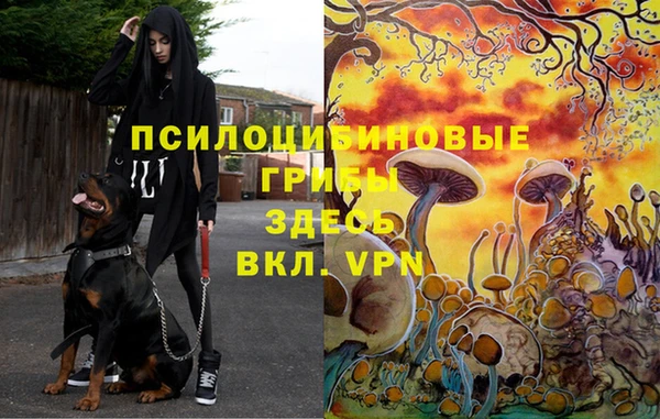 ГАЛЛЮЦИНОГЕННЫЕ ГРИБЫ Медногорск