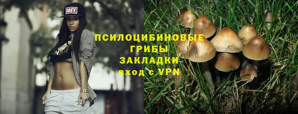ГАЛЛЮЦИНОГЕННЫЕ ГРИБЫ Медногорск