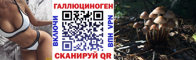 hydra онион  Нижнекамск  Галлюциногенные грибы Magic Shrooms  закладка 