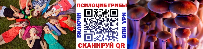 Галлюциногенные грибы Cubensis Нижнекамск