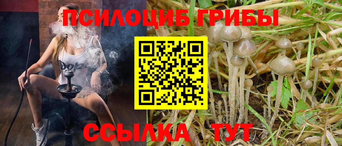 Галлюциногенные грибы мицелий Нижнекамск
