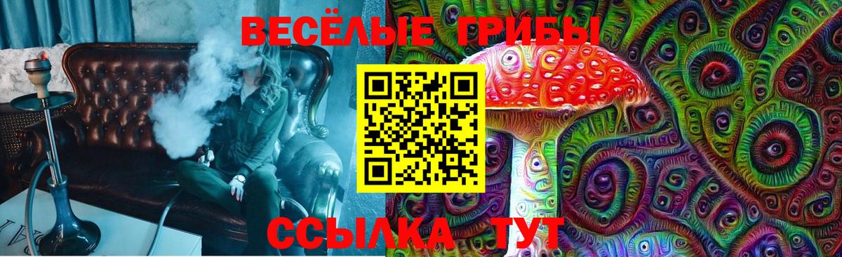 Галлюциногенные грибы Psilocybine cubensis  Вход с VPN  Нижнекамск 